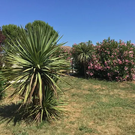 Tatil Evi Avec Piscine Lou Minestraue